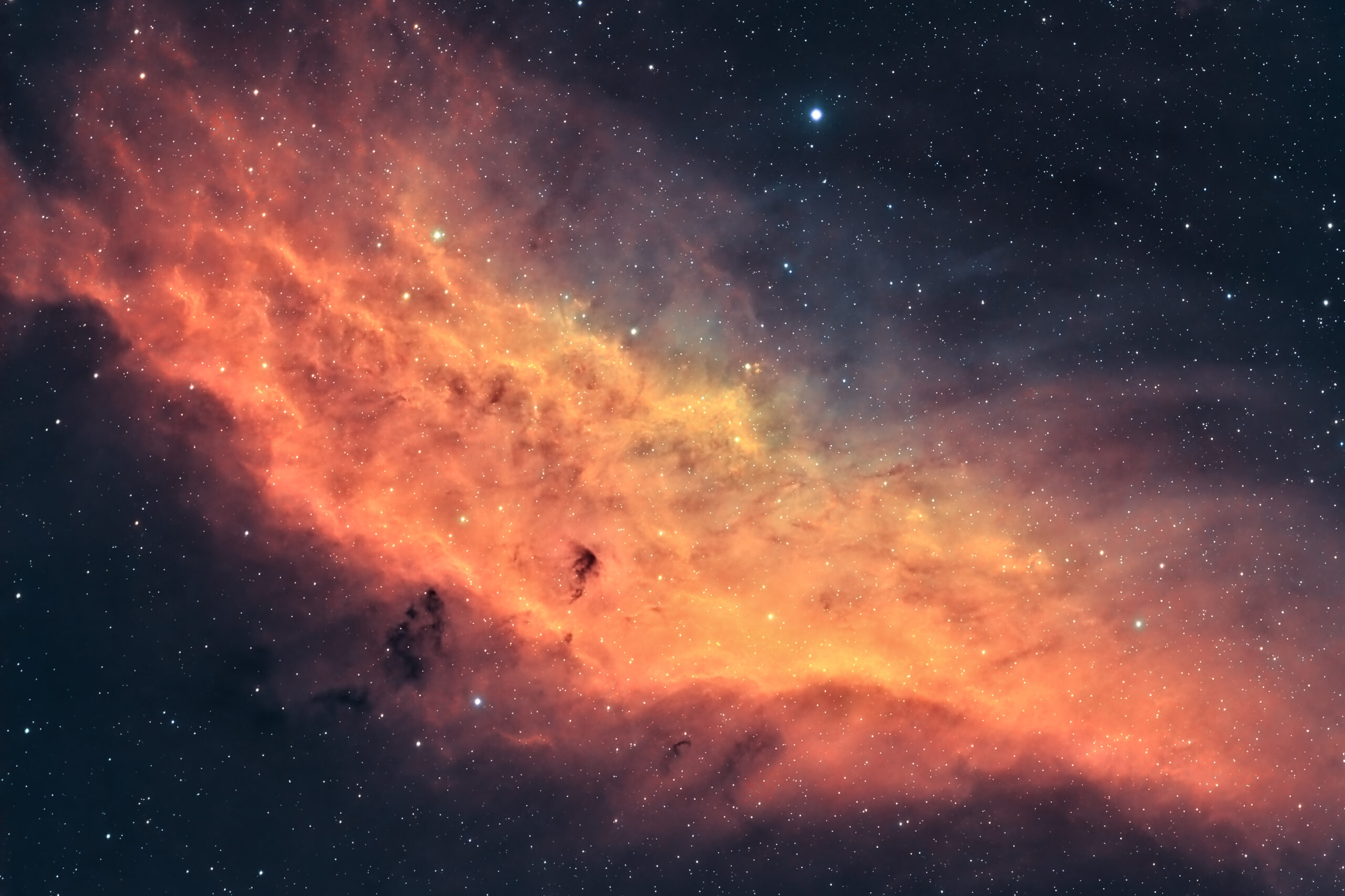 California Nebula