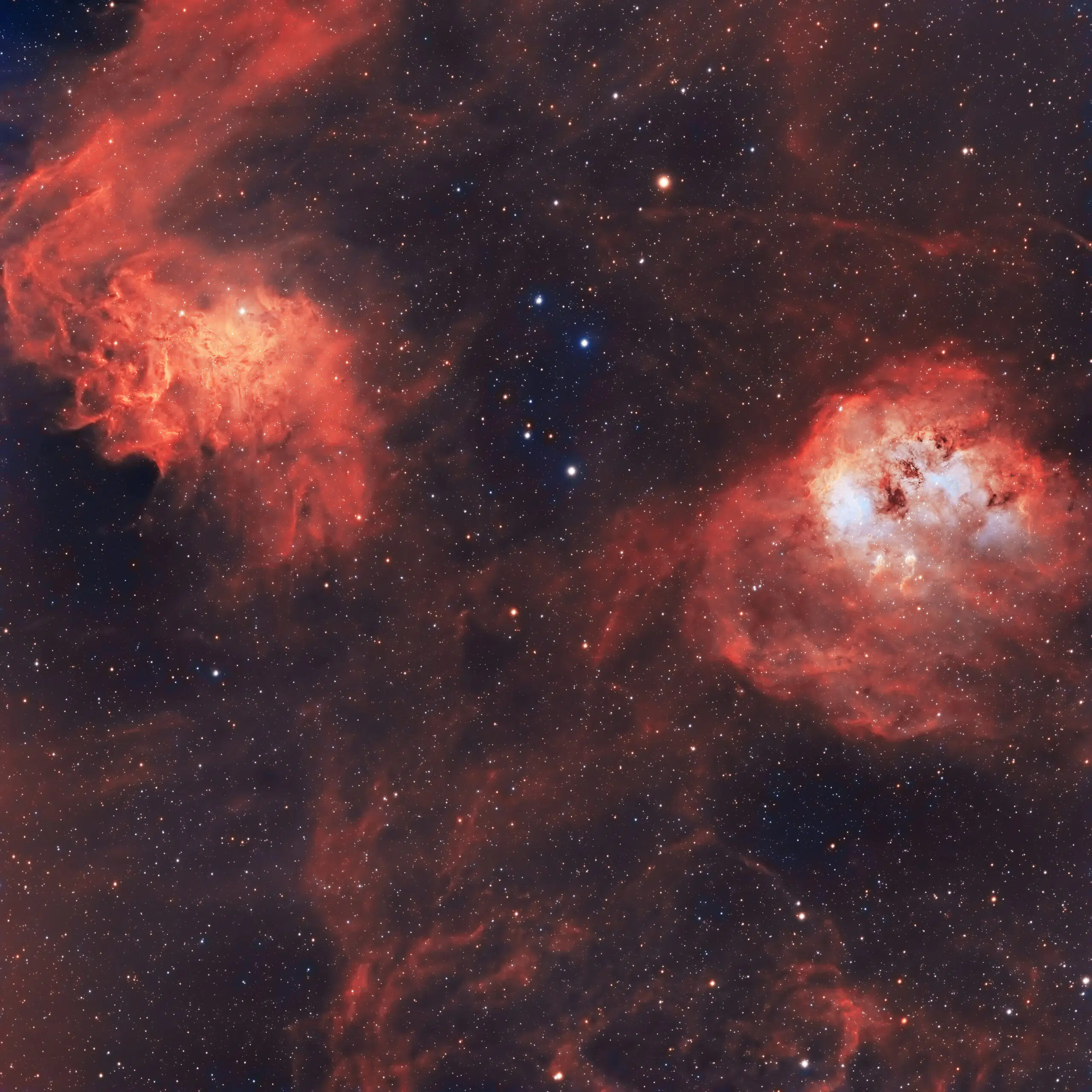 The Flaming Star & Tadpole Nebula by Kevin Fitzpatrick, Jan 2023