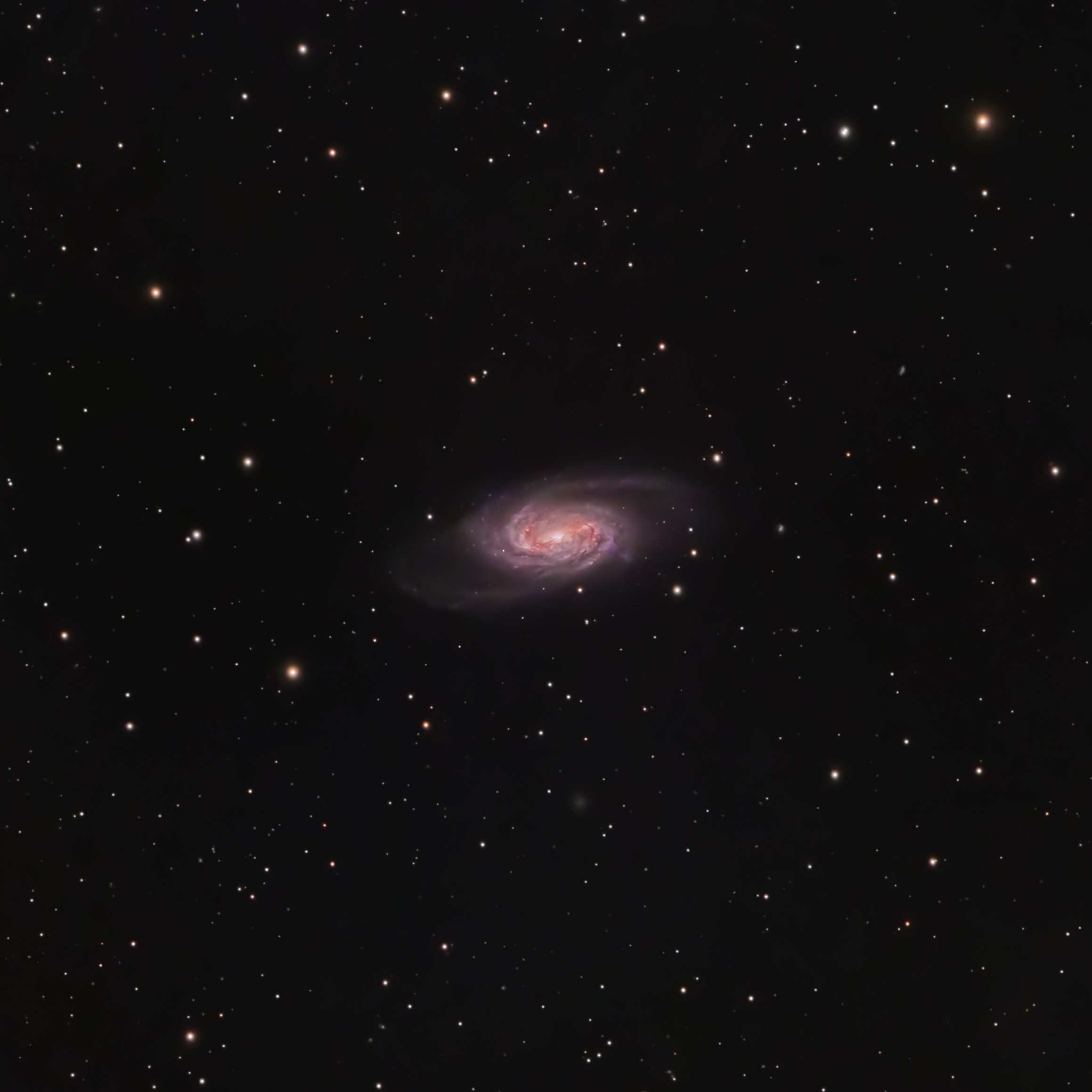 NGC 2903 Galaxy