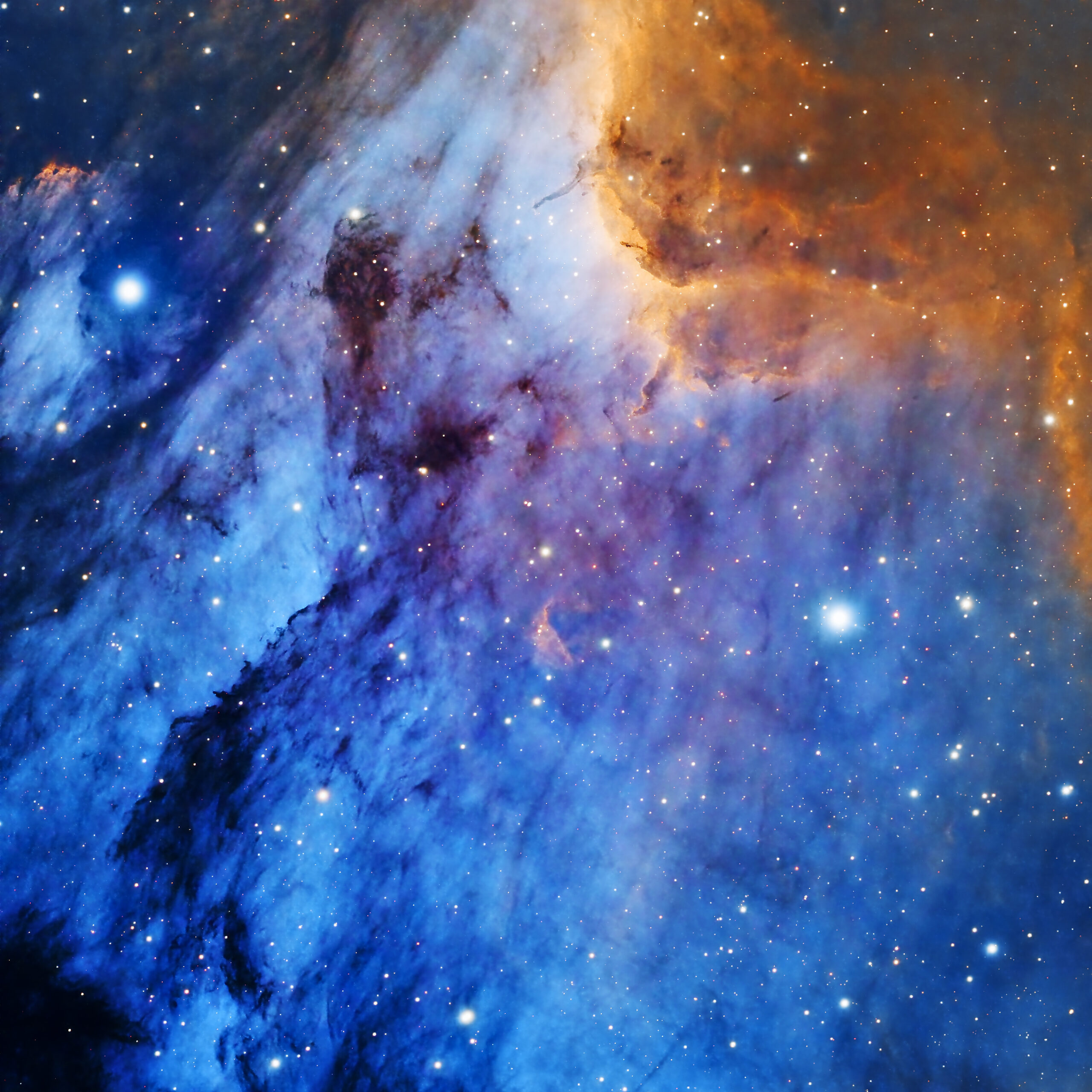 Pelican Nebula