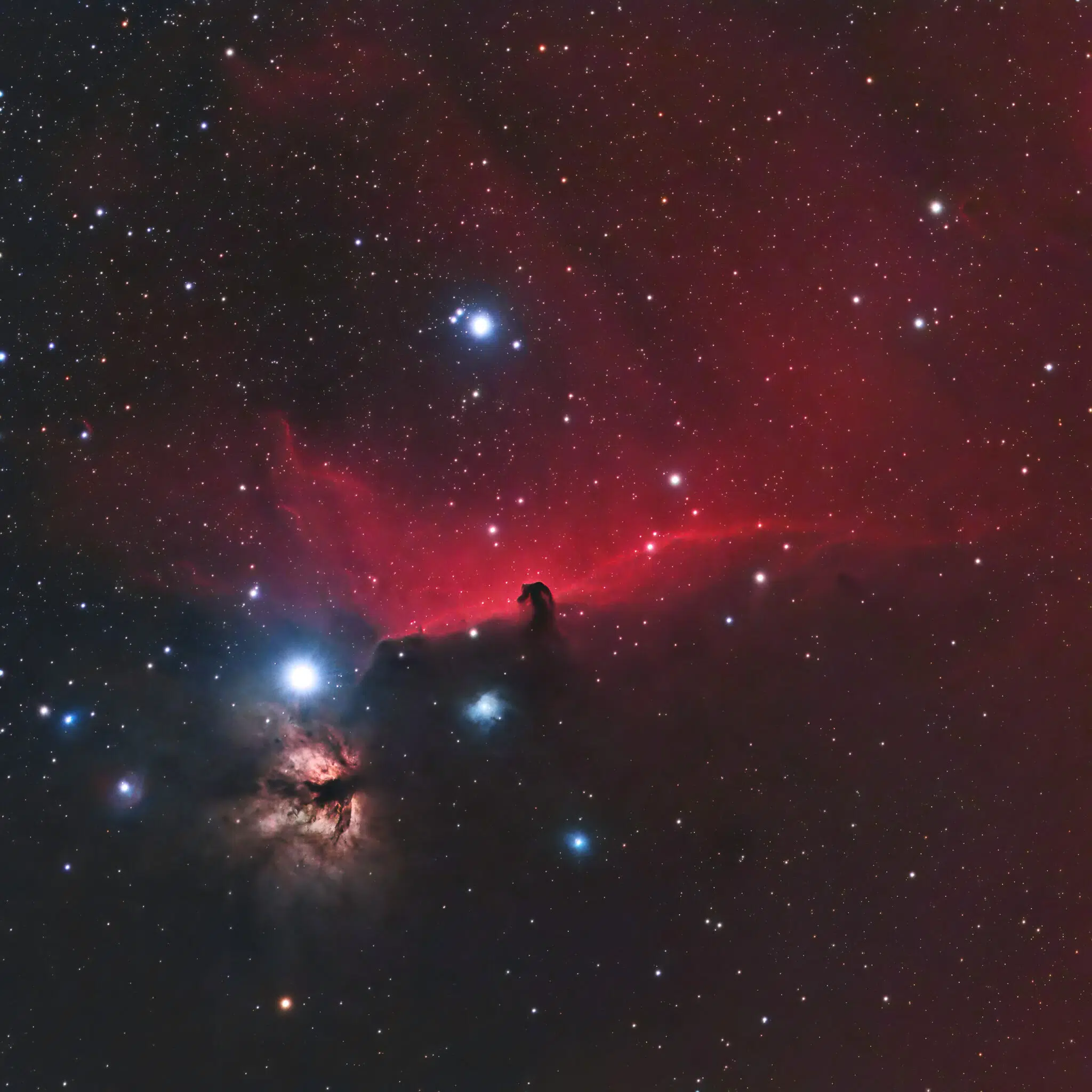 The Horsehead and Flame Nebulas by Kevin Fitzpatrick, Jan - Feb 2023