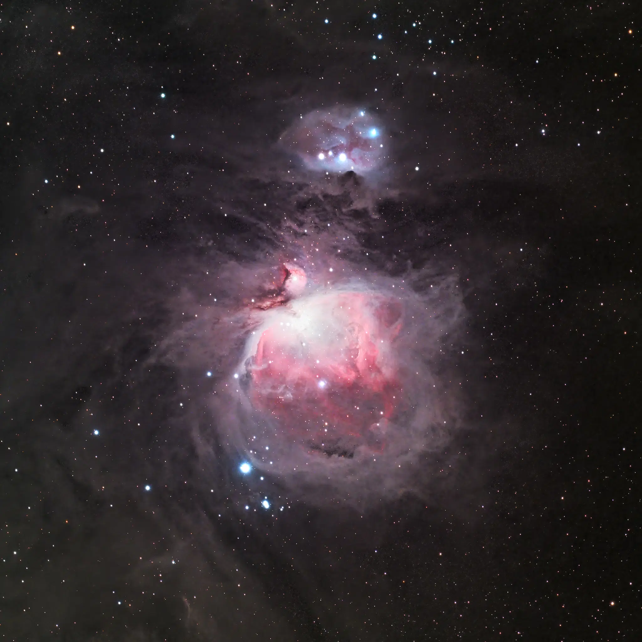 The Orion Nebula by Kevin Fitzpatrick, Feb 2024