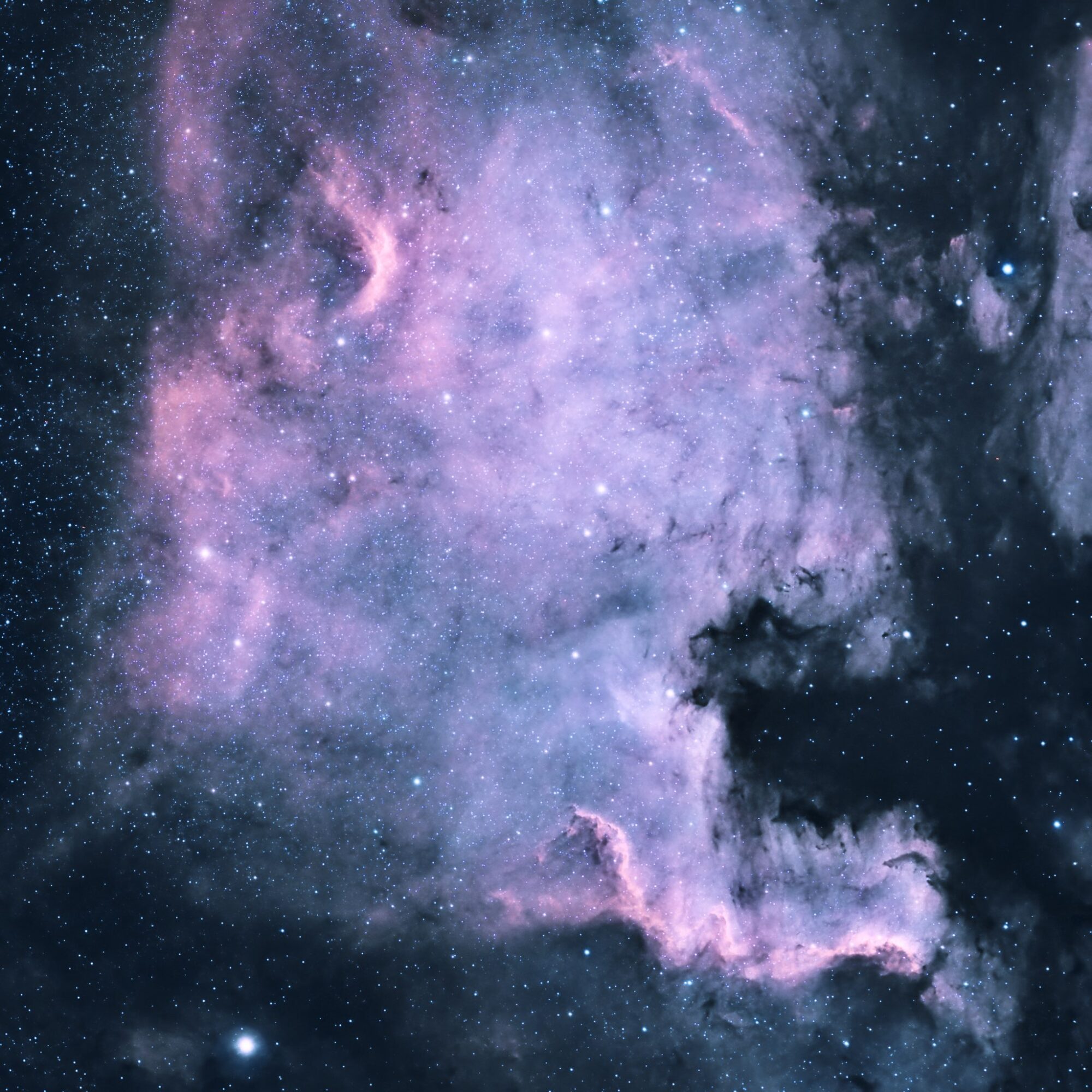 Wide field image of the North America Nebula NGC7000