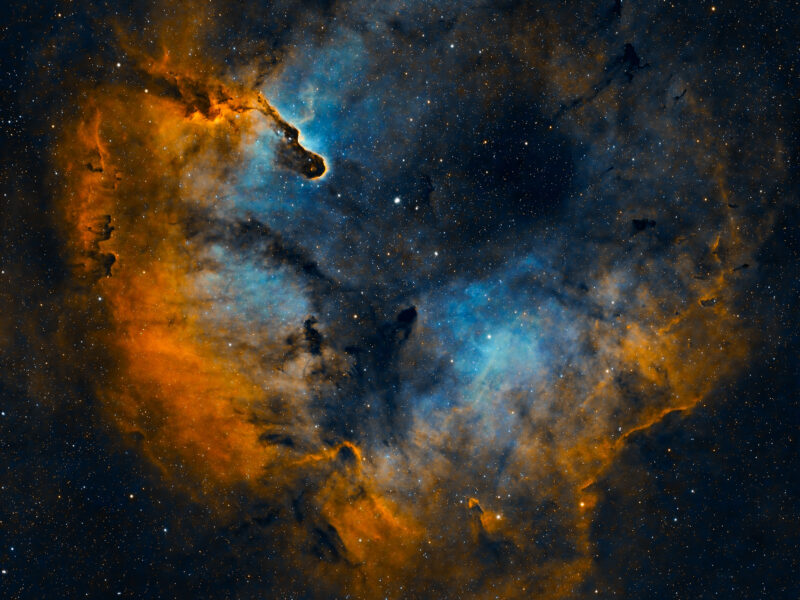 The Elephant Trunk Nebula