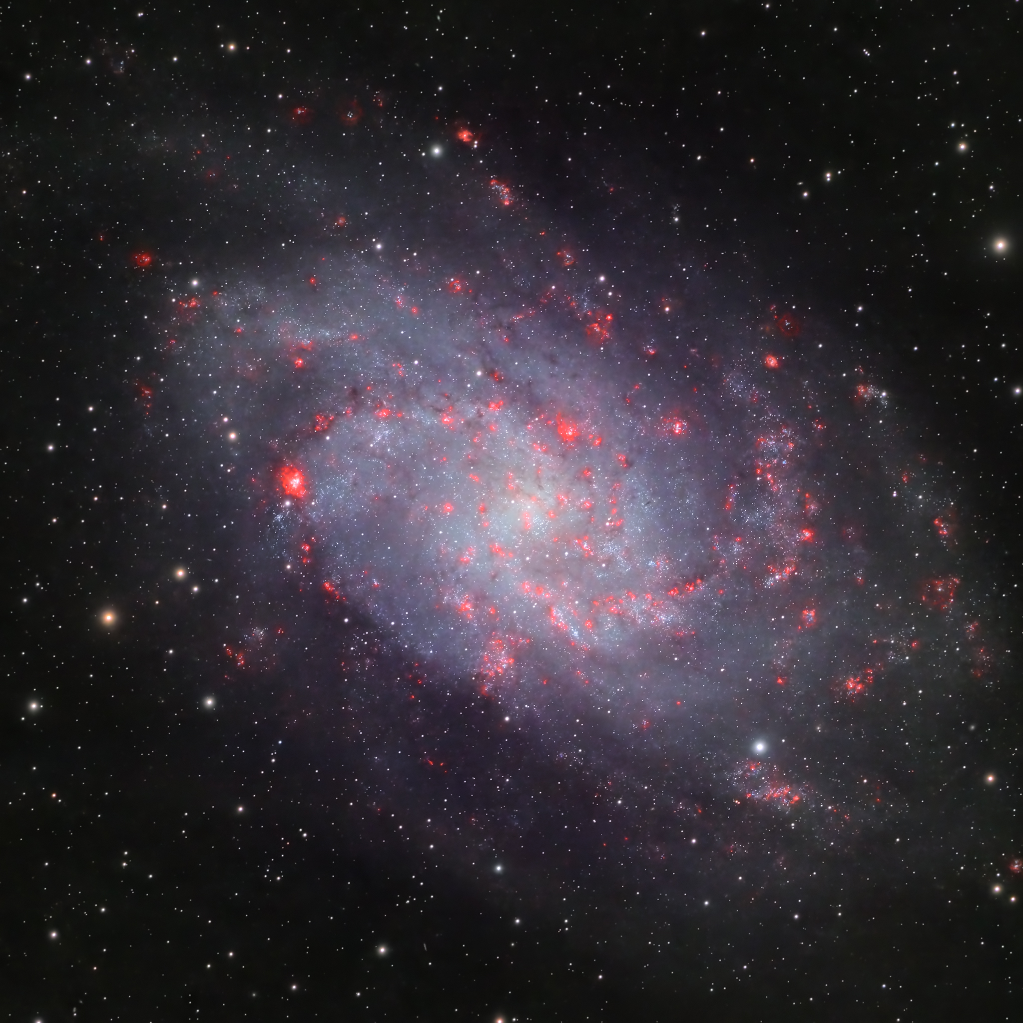 Capturing The Triangulum Galaxy M33