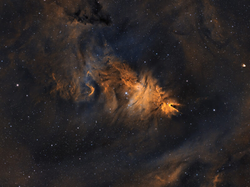 The Christmas Tree Cluster (NGC 2264): A Celestial Holiday Decoration in the Winter Sky