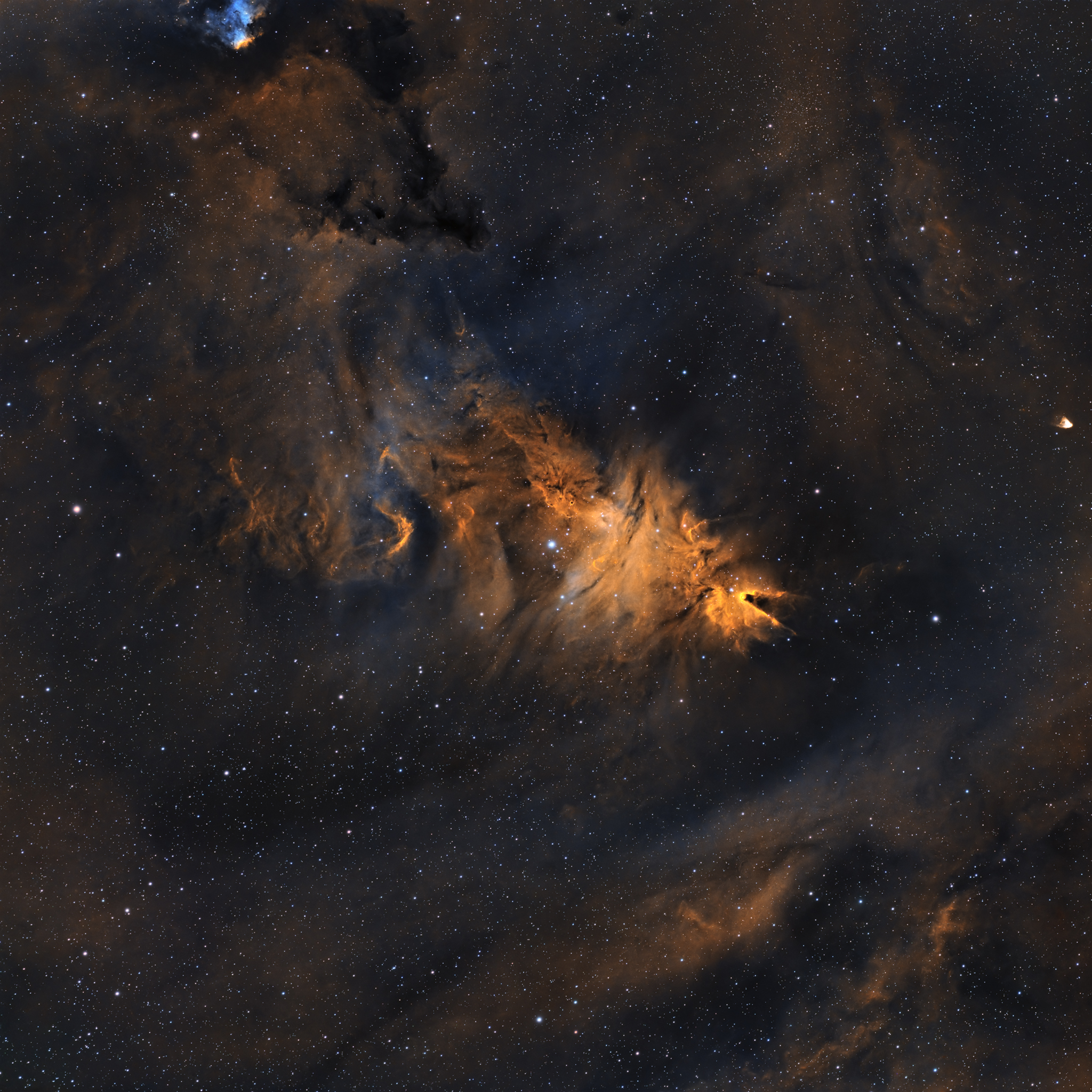 The Christmas Tree Cluster (NGC 2264): A Celestial Holiday Decoration in the Winter Sky