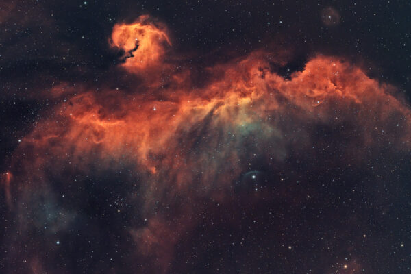 The Cosmic Seagull: Capturing IC 2177