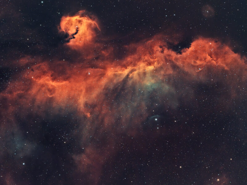 The Cosmic Seagull: Capturing IC 2177