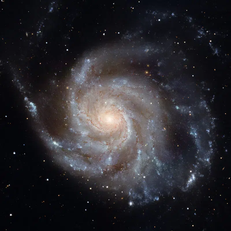 M101, The Pinwheel Galaxy, taken with the Hubble Telescope, image courtesy of NASA.